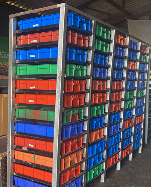Colour-coded BSF larvae rearing crates stacked on steel racks